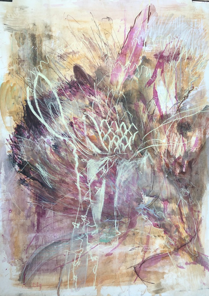 Protea 1. 560x750mm, mixed media [ink, pastel,charcoal, pencil] on 290g Tiepolo paper.