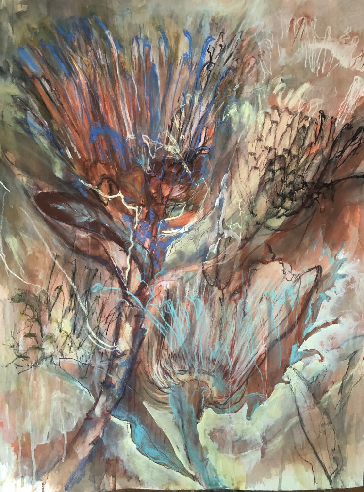 Protea 4. 560x750mm, mixed media [ink, pastel,charcoal, pencil] on 290g Tiepolo paper.